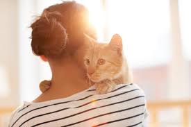 owner hugging cat